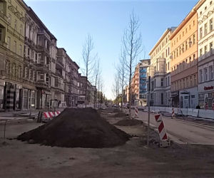 Siedmiometrowe platany już zdobią aleję Wojska Polskiego