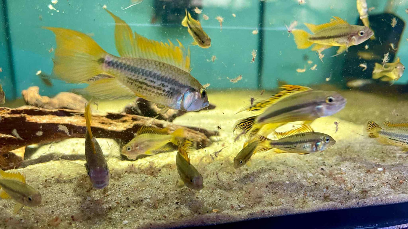 Rozmawiamy z Tomaszem Wiśniewskim, założycielem Aqua Dreams Bydgoszcz
