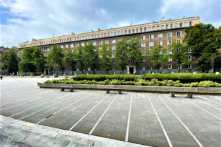 Remont w Nowej Hucie. Miasto posadzi ponad tysiąc krzewów róż! 