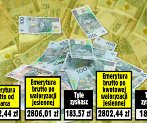 SG JESIENNA WALORYZACJA 7 PROC. PLUS 180 ZŁOTYCH_21