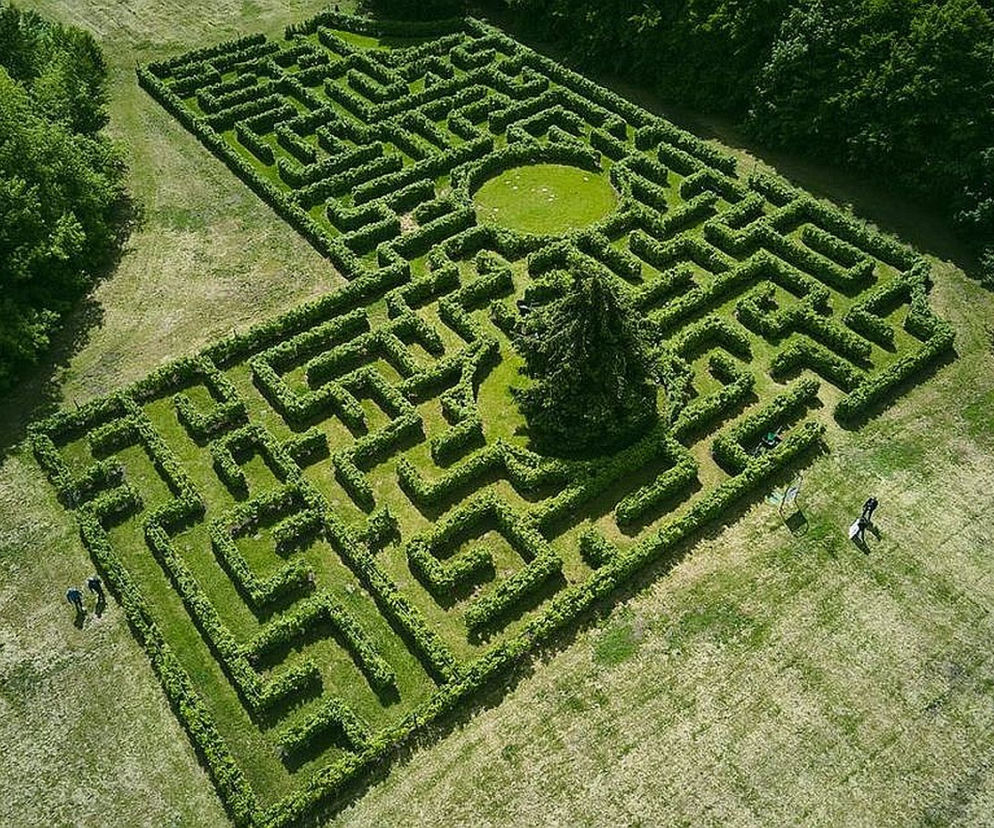 Labirynt w Ogrodzie Botanicznym Łódź