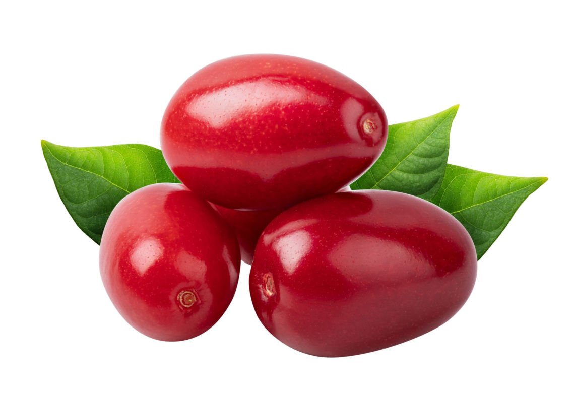 Dereń