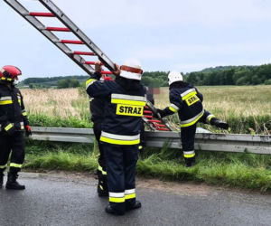 Wypadek w powiecie strzelińskim: Volkswagen wypadł z drogi i wpadł do rzeki