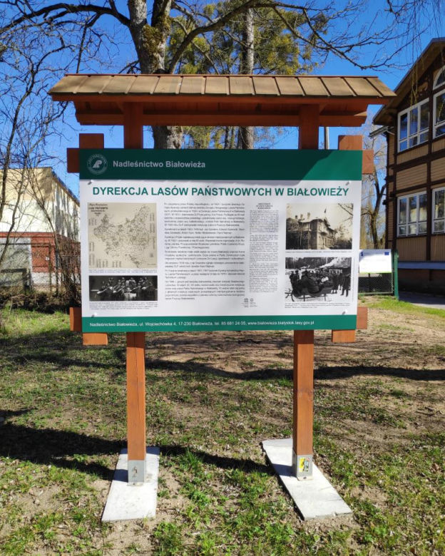 Nowa atrakcja turystyczna w Białowieży