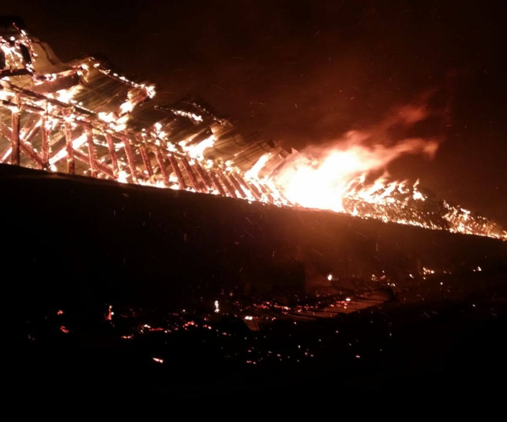 Nowoberezowo. Ogromny pożar chlewni. Spłonęło ponad 2,5 tys. świń! Straty na 3,5 mln zł!