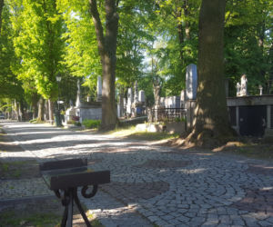 Trzecia próba włamania do skarbony na Starym Cmentarzu