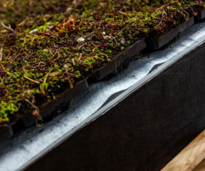 Systemowe zielone dachy - maty wegetacyjne z roślin rozchodnikowych, ziół i mchów