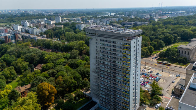 Młotek przy ul. Smolnej 8 w Warszawie
