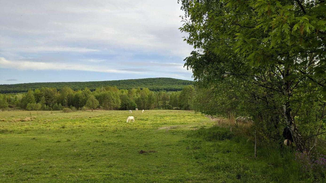 Kapkazy i Wzdół-Wiącka w gminie Bodzentyn