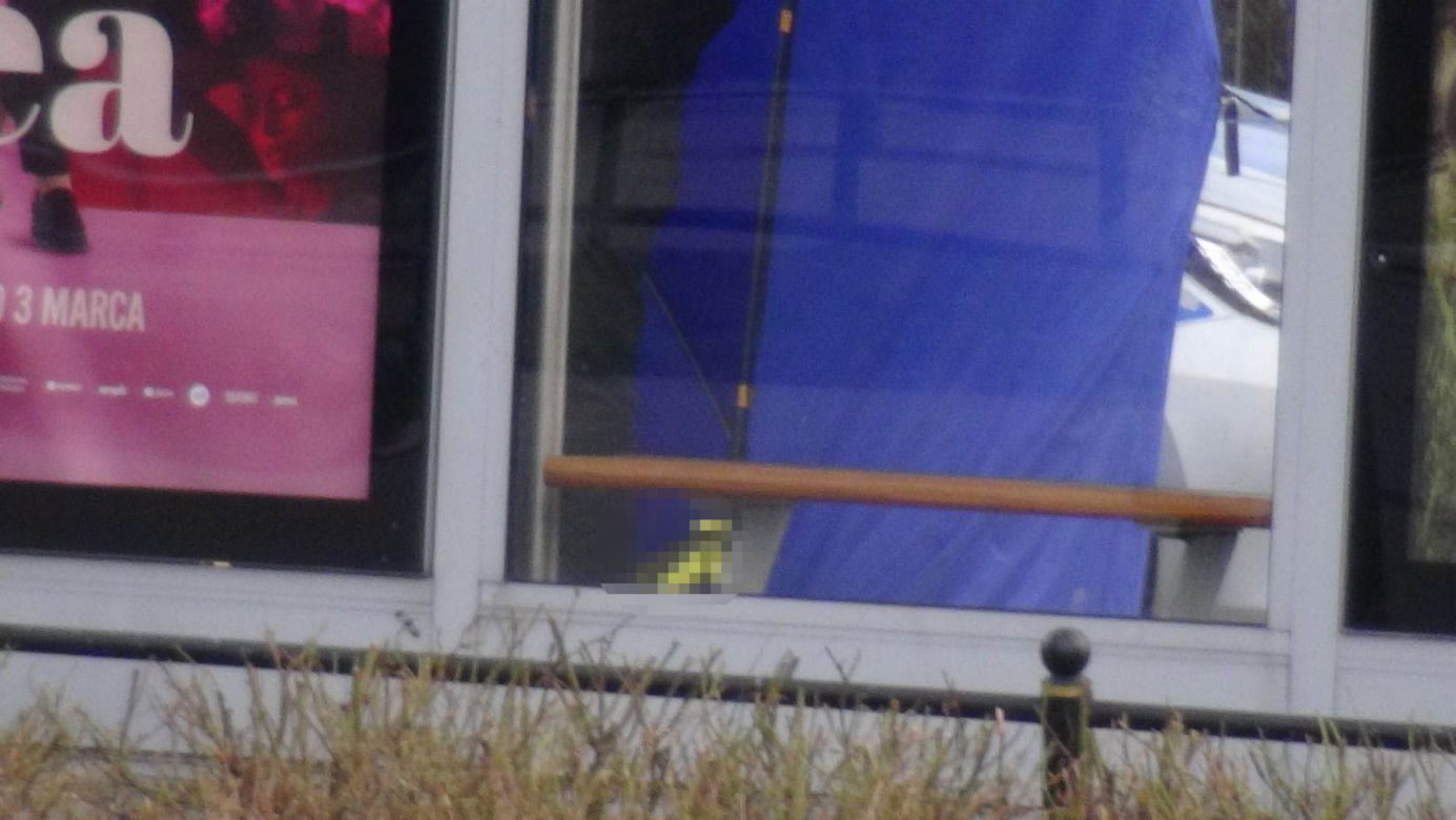 Makabra na Grochowie. Ludzkie zwłoki na przystanku autobusowym