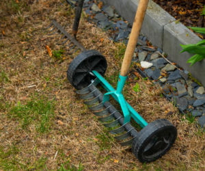 Wiosenne porządki w ogrodzie