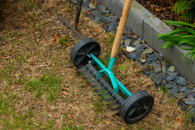 Wiosenne porządki w ogrodzie