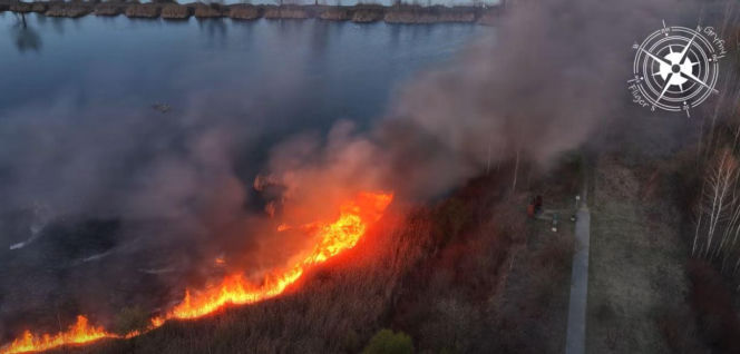Żabie Doły pożar