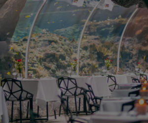 Kolacja Orientarium ZOO Łódź