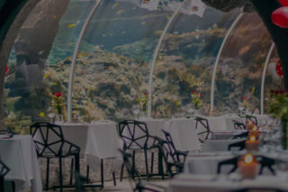 Kolacja Orientarium ZOO Łódź