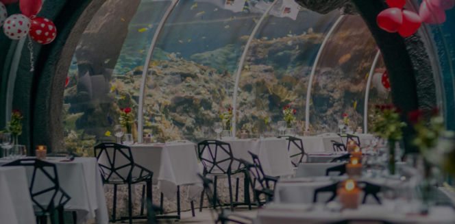 Kolacja Orientarium ZOO Łódź