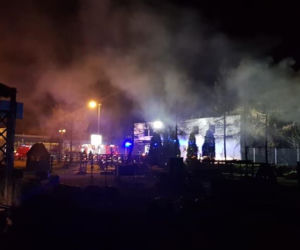 SZOK! Ktoś podpalił zagrodę? Wszystkie zwierzęta spłonęły żywcem