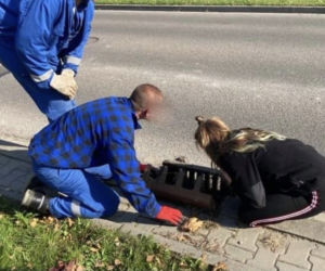 Kotulek uratował kotka