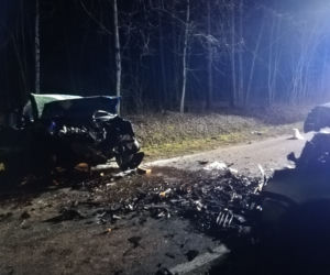 Dzik narobił wielkich szkód! Ucierpieli ludzie i samochody
