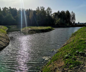 Nowe zbiorniki wodne w podlaskich lasach. Pomogą walczyć ze zmianami klimatu [ZDJĘCIA]