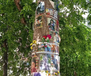 Drzewo pamięci Michaela Jacksona w Budapeszcie