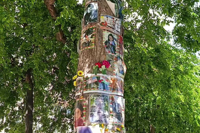 Drzewo pamięci Michaela Jacksona w Budapeszcie