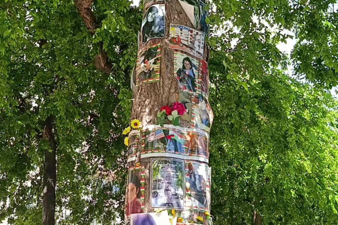 Drzewo pamięci Michaela Jacksona w Budapeszcie