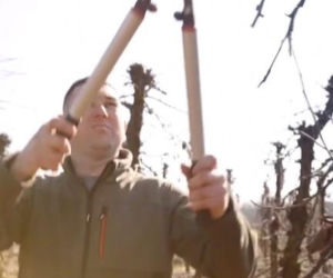 Nowy Rolnik szuka żony