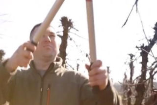 Nowy Rolnik szuka żony