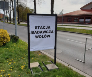 Na Dolnym Śląsku ruszają punkty testowe na obecność koronawirusa drive-thru