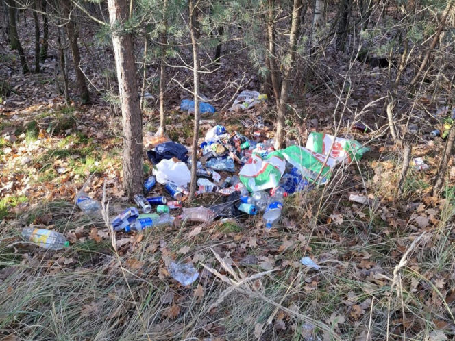 Śmieci w lesie