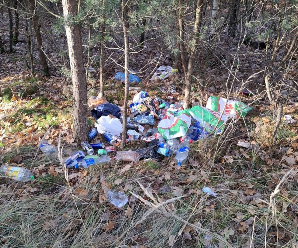 Kościan: 22-latek zrobił sobie wysypisko w lesie. Policja: „Zero tolerancji”