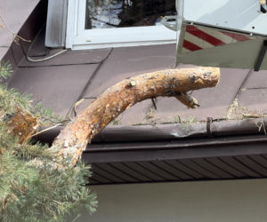 Powalone drzewa i awarie prądu w części województwa