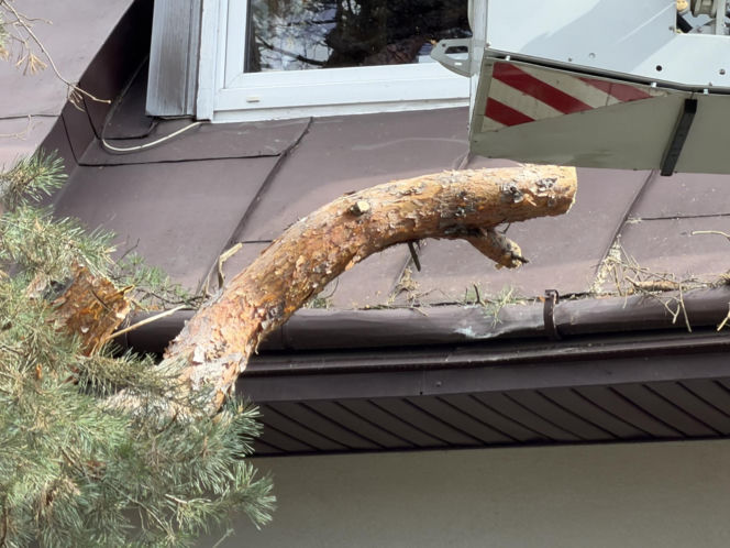 Powalone drzewa i awarie prądu w części województwa