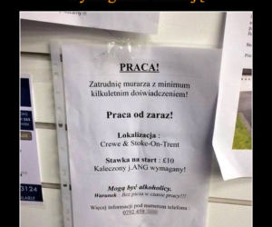 Najlepsze ogłoszenia z miejsc pracy! Nie uwierzysz że ktoś je wywiesił! 