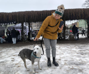 Spacer z pieskami w Lesznie