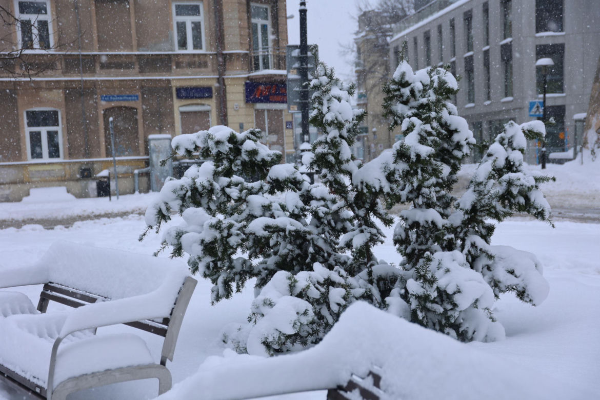 Śnieżyca w Lublinie