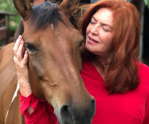 Dowbor walczy o Stefana