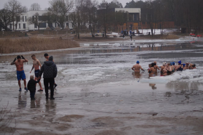 Lodowata woda, gorące emocje. Morsy znów opanowały jezioro pod Bydgoszczą