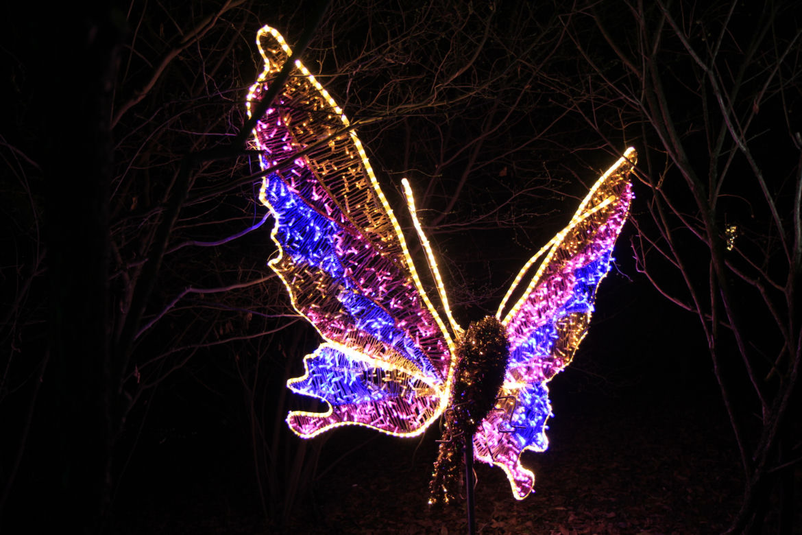 Park iluminacji „Tajemniczy Ogród” w Lublinie