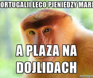 Najzabawniejsze memy o Podlasiu