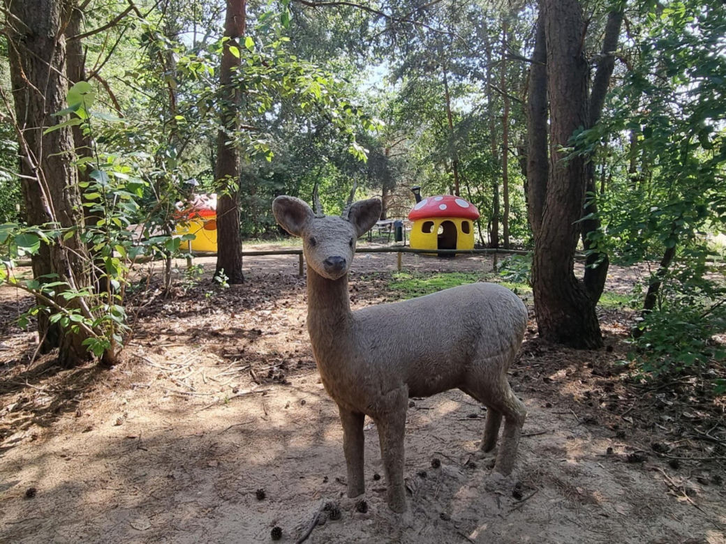 Park grzbowy
