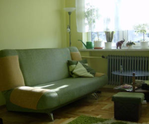Zdjęcie 2502