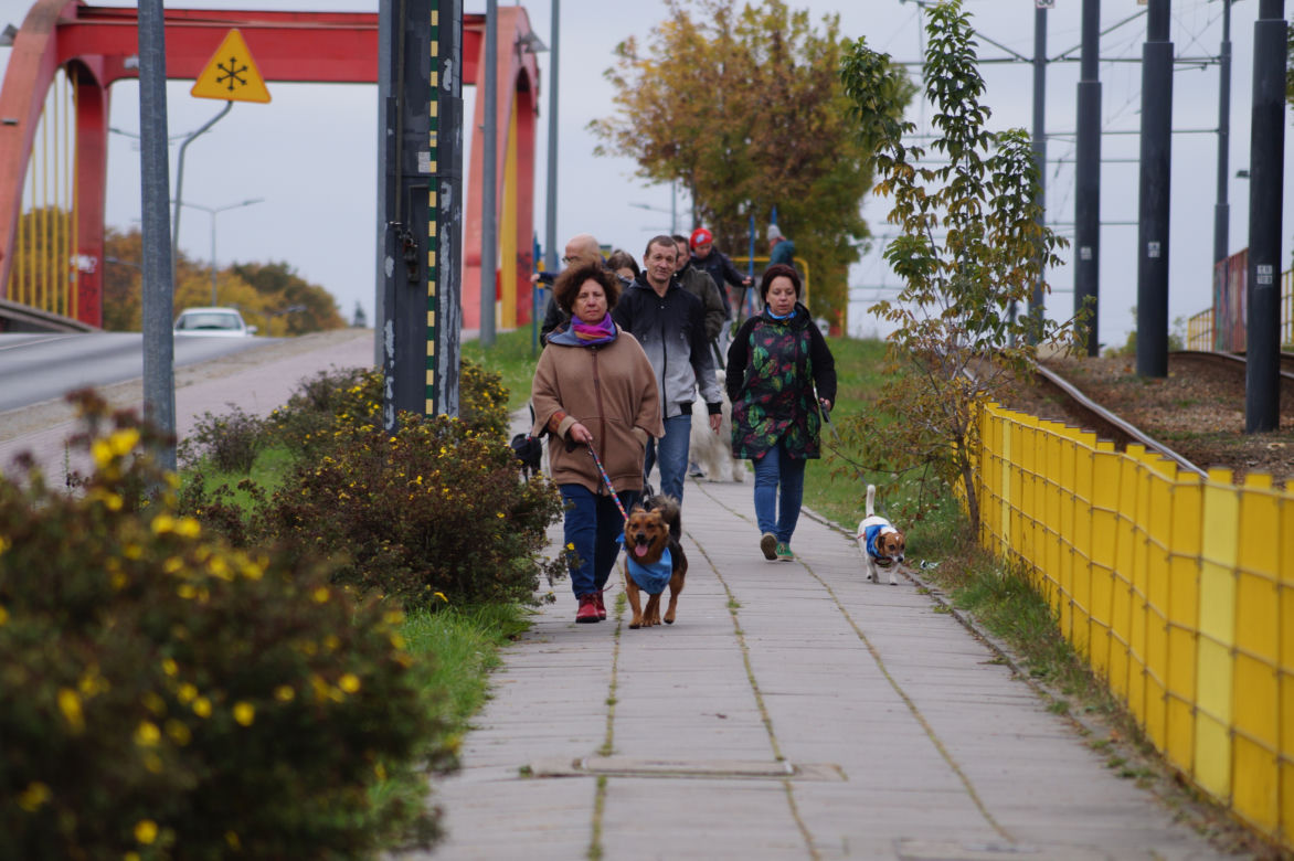 Parada Psów Adoptowanych w Bydgoszczy 2022 [ZDJĘCIA]