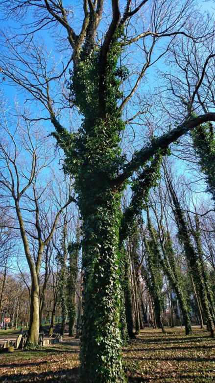 Park im. Tadeusza Rejtana w Łodzi