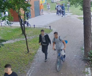 Gang młodocianych wandali zdemolował park miejski
