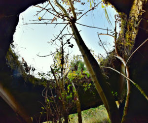 Tajemnicza podziemna hala w woj. warmińsko-mazurskim. Nikt nie wie, co tam się znajdowało