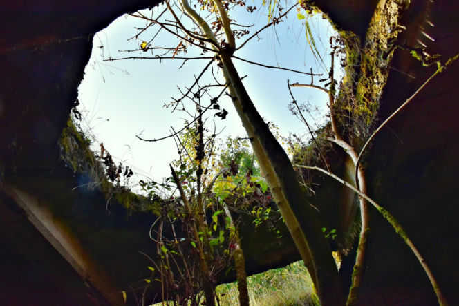 Tajemnicza podziemna hala w woj. warmińsko-mazurskim. Nikt nie wie, co tam się znajdowało