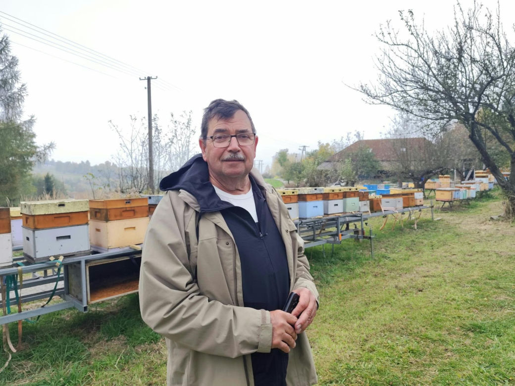 Szerszeń azjatycki już w Polsce! „Niszczy całe rodziny, całe ule”. Niepokojące odkrycie
