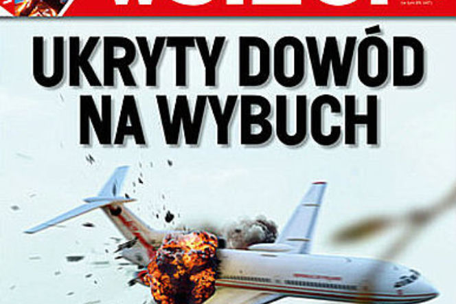 Okładka wsieci